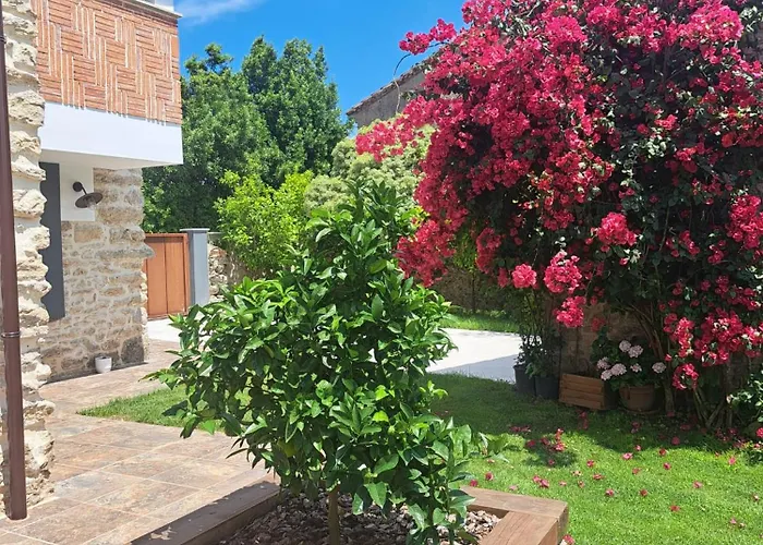 Terradeva * Colombres