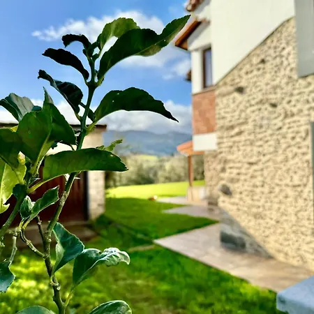Apartment Terradeva *