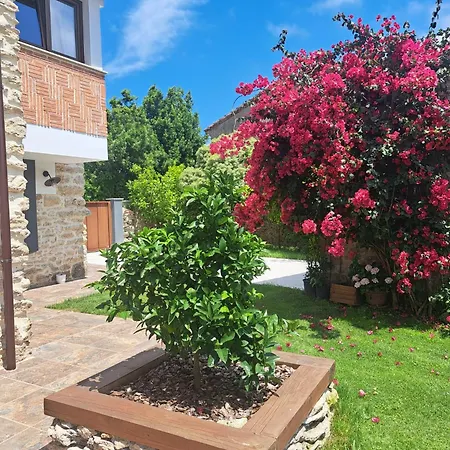 Terradeva * كولومبيريز